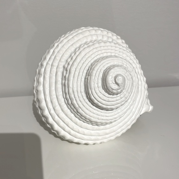 EUC Torre & Tagus Large White Resin Conch Shell Decor Accent - Picture 11 of 11